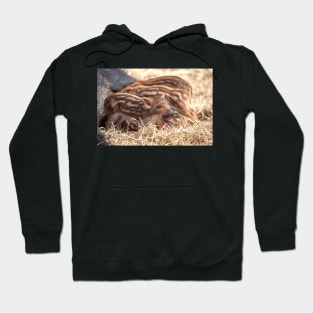 Wild Boar Piglets Hoodie